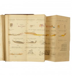 Description géologique et minéralogique du département du Bas-Rhin.