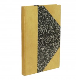 Topographia Alsatiae, &c.