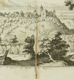 Topographia Alsatiae, &c.