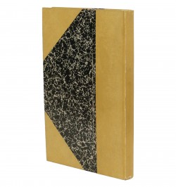 Topographia Alsatiae, &c.