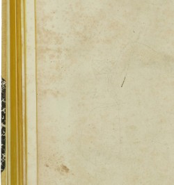 Topographia Alsatiae, &c.