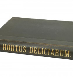 Hortus deliciarum.