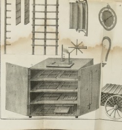 La science de la sétifère ou l’art de produire la soie