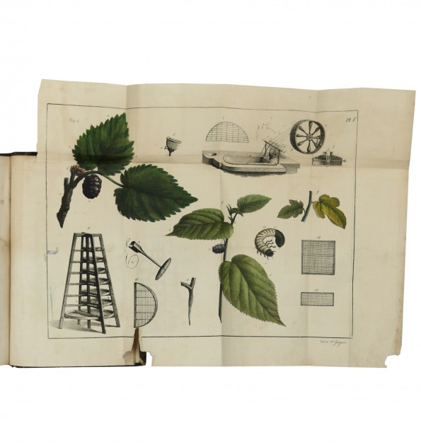 La science de la sétifère ou l’art de produire la soie La science de la sétifère ou l’art de produire la soie