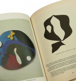 Jours effeuillés : poèmes, essais, souvenirs (1920-1965).