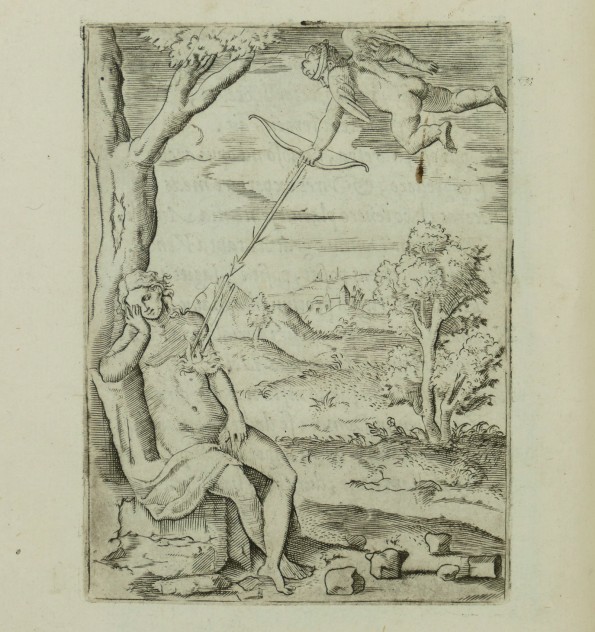 Symbolicarum quaestionum, de universo genere, quas serio ludebat, libri quinque.