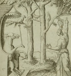 Symbolicarum quaestionum, de universo genere, quas serio ludebat, libri quinque.