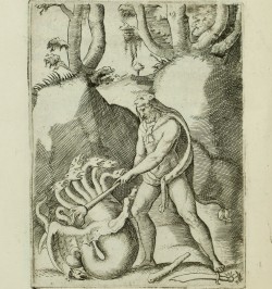 Symbolicarum quaestionum, de universo genere, quas serio ludebat, libri quinque.