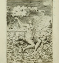 Symbolicarum quaestionum, de universo genere, quas serio ludebat, libri quinque.