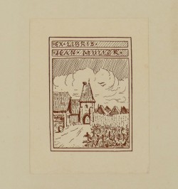 Ansichten des alten Strassburg : Fünfzig Tafeln mit erklärendem Text.