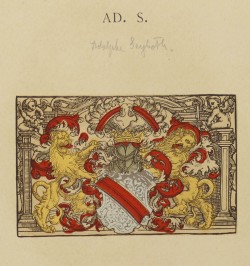 Ansichten des alten Strassburg : Fünfzig Tafeln mit erklärendem Text.