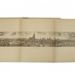 Ansichten des alten Strassburg : Fünfzig Tafeln mit erklärendem Text.