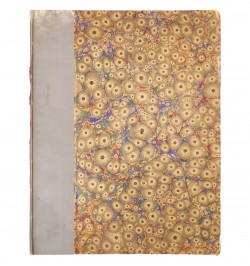 Neue Elsässer Bilderbogen.