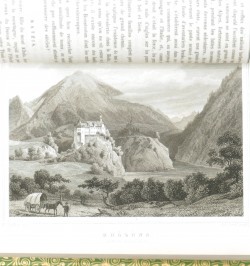 Le Rhin et ses bords depuis les sources du Rhin jusqu'à Mayence.