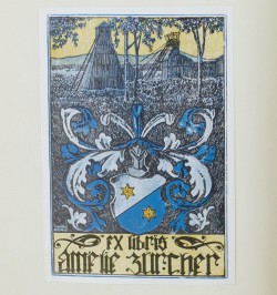 Les anciens artistes-peintres et décorateurs Mulhousiens