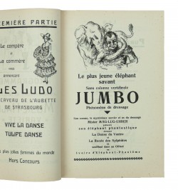 Bal des artistes : Music-hall variété programme palais des fêtes 14 février 1931.