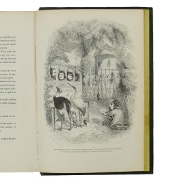 Scènes de la vie privée et publique des animaux. 2 volumes.