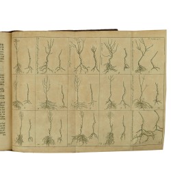 Instruction pour les jardins fruitiers et potagers, avec un traité des orangers, & des réflexions sur l'agriculture.