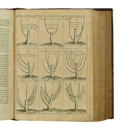 Instruction pour les jardins fruitiers et potagers, avec un traité des orangers, & des réflexions sur l'agriculture.