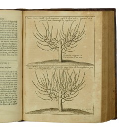 Instruction pour les jardins fruitiers et potagers, avec un traité des orangers, & des réflexions sur l'agriculture.