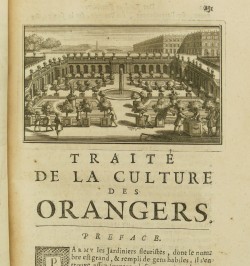 Instruction pour les jardins fruitiers et potagers, avec un traité des orangers, & des réflexions sur l'agriculture.