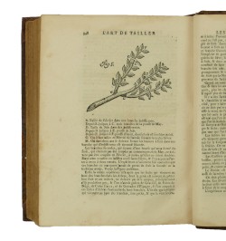 Instruction pour les jardins fruitiers et potagers, avec un traité des orangers, & des réflexions sur l'agriculture.