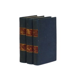 Voyage descriptif et historique de l'ancien et du nouveau Paris.