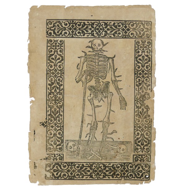 Couvertures de livres. Memento mori. Couvertures de livres. Memento mori.