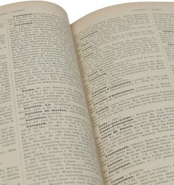 Ortsbeschreibendes und geschichtliches Wörterbuch aller in Elsass-Lothringen...