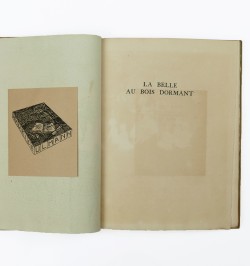 La belle au bois dormant.