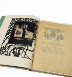 La belle au bois dormant.