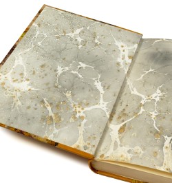 Siège de Strasbourg. Journal d'un assiégé. Notes et dessins par Alfred de Touchemolin.
