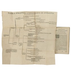 Gymnasma de exercitiis