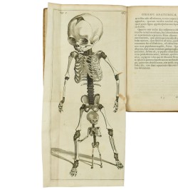 Spicilegium anatomicum.