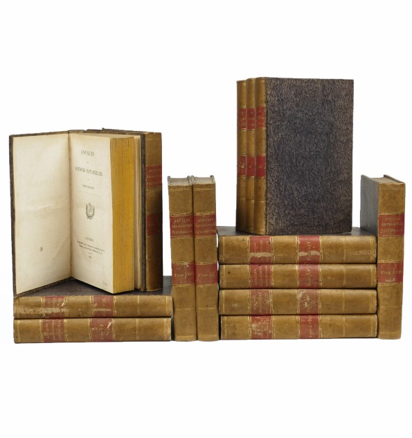 Annales des sciences naturelles. 14 vol. Annales des sciences naturelles. 14 vol.