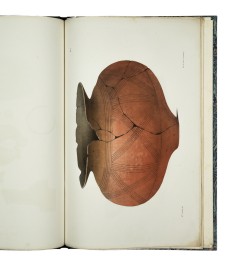 Les tombes celtiques de l'Alsace. 3 volumes.