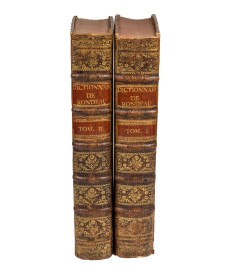 Nouveau dictionnaire françois-allemand...