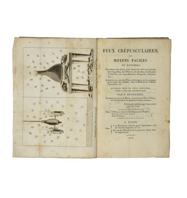 Feux crépusculaires, ou moyens faciles et naturels de détruire tous les insectes dévastateurs des vignobles... Feux crépusculaires, ou moyens faciles et naturels de détruire tous les insectes dévastateurs des vignobles...