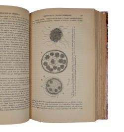 Essais sur l'hérédité et la sélection naturelle.