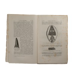 Éléments de géologie.