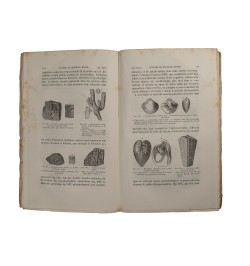 Éléments de géologie.