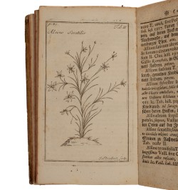 Hortus Alsaticus plantas in Alsatia nobili