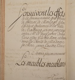 [Manuscrit-Notariat] Inventaire de succession de Dame Louise Dorothée Fougères de Mormont. 1768.
