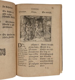 Le miroir de l'art et de la nature.