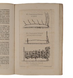 Denkschrift über der Weinbau in den Departementen des Ober- und Niederrheins und in Rheinbayern.