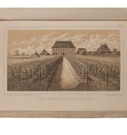 [Viticulture] Denkschrift über den Weinbau in den Departementen des Ober- und Niederrheins und in Rheinbayern.