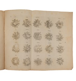 Recueil complet de chiffres à deux et trois lettres.