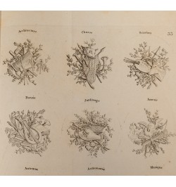 Recueil complet de chiffres à deux et trois lettres.