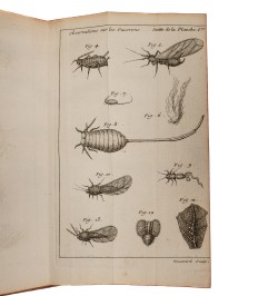 [Entomologie] Traité d'insectologie, ou observations sur les pucerons.