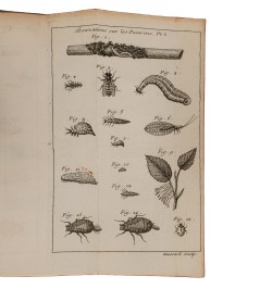 [Entomologie] Traité d'insectologie, ou observations sur les pucerons.